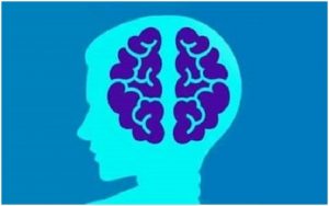 AI Converts Brain Activity